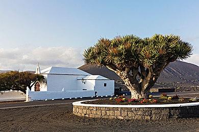 《勇者斗恶龙宝藏》公布新预告 12月9日登陆NS