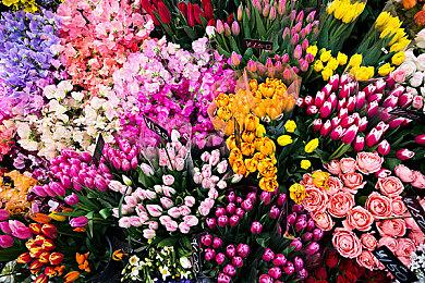 《收获日3》9月21日发售 准备进军纽约市!