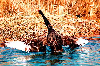 《死亡之门》NS版现已发售 Steam获特别好评